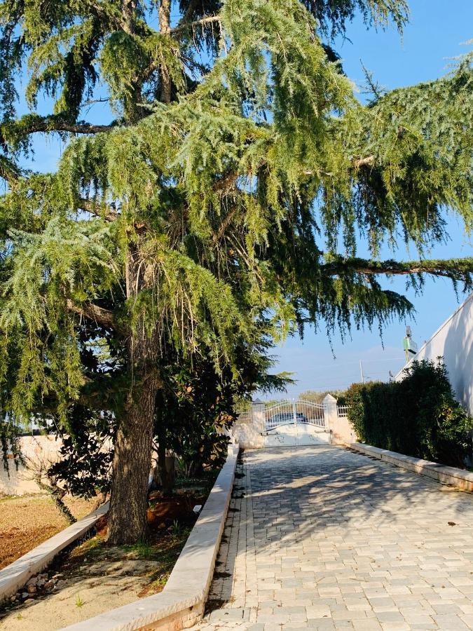 Trullo Labellavita Putignano Dış mekan fotoğraf